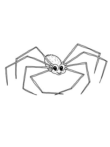 Cute Daddy Long Legs Coloring Page